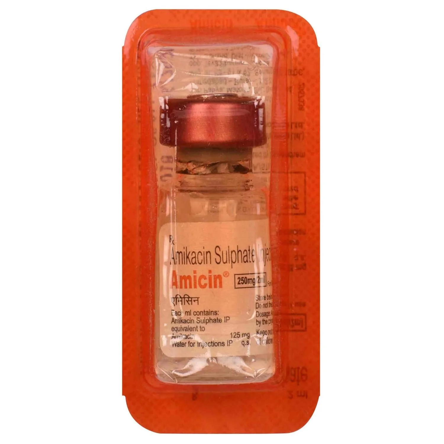 Amicin 250mg Inj