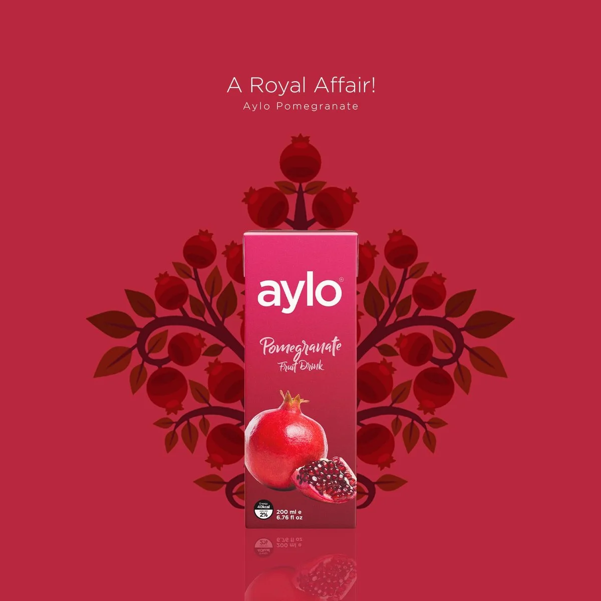 Aylo Pomegranate 200ml