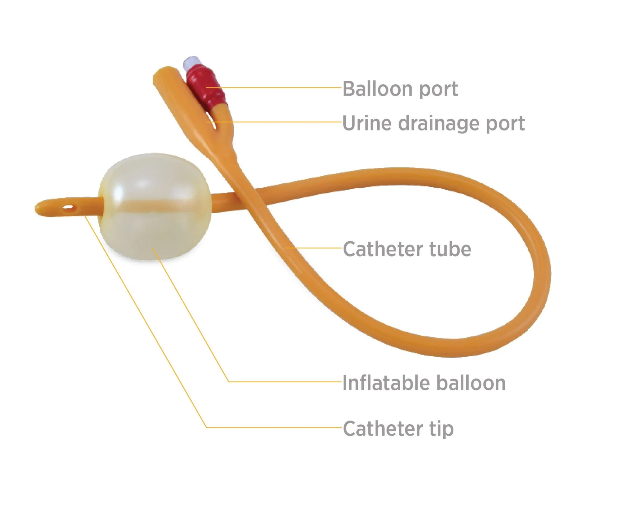 Balloon Catheter
