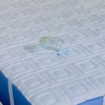 Dignity Sheet