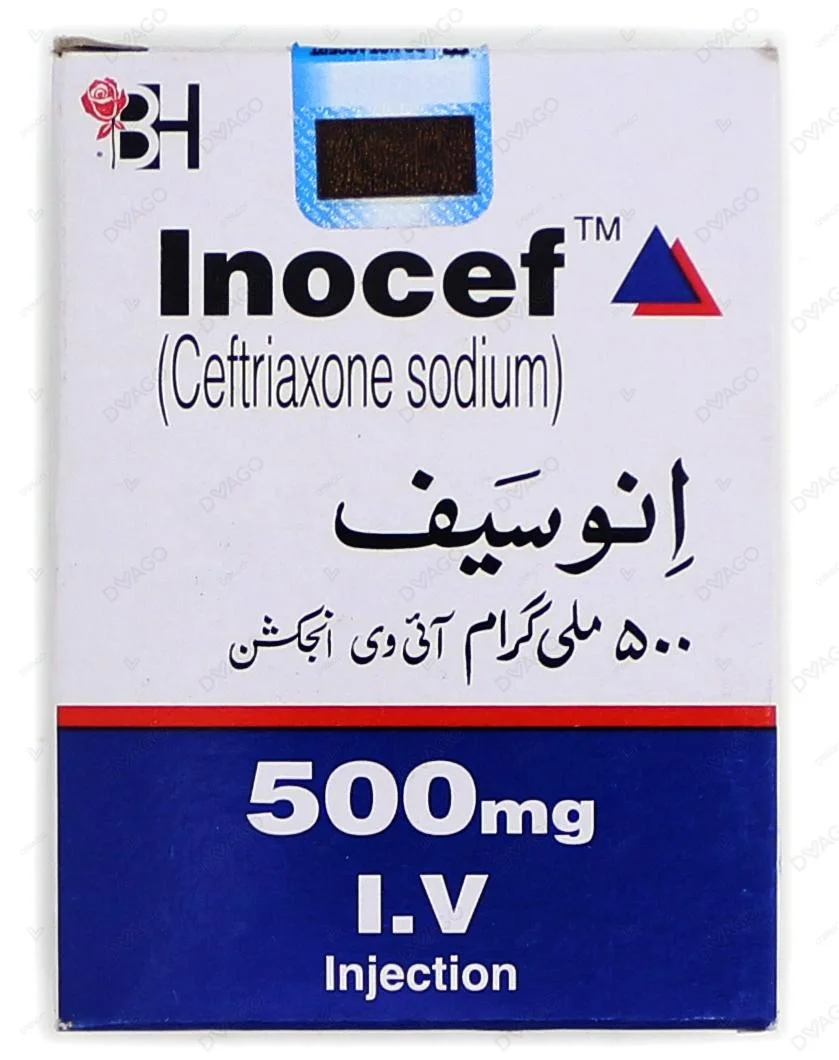 Inocef 500mg Inj Iv