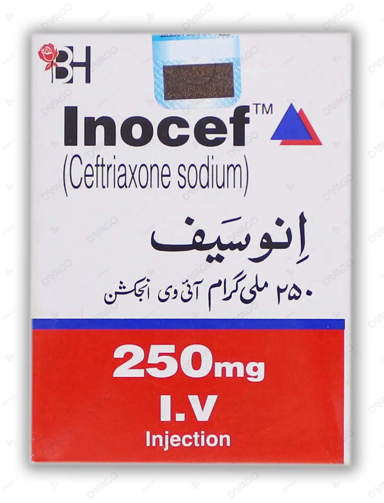Inocef Iv 250mg Inj