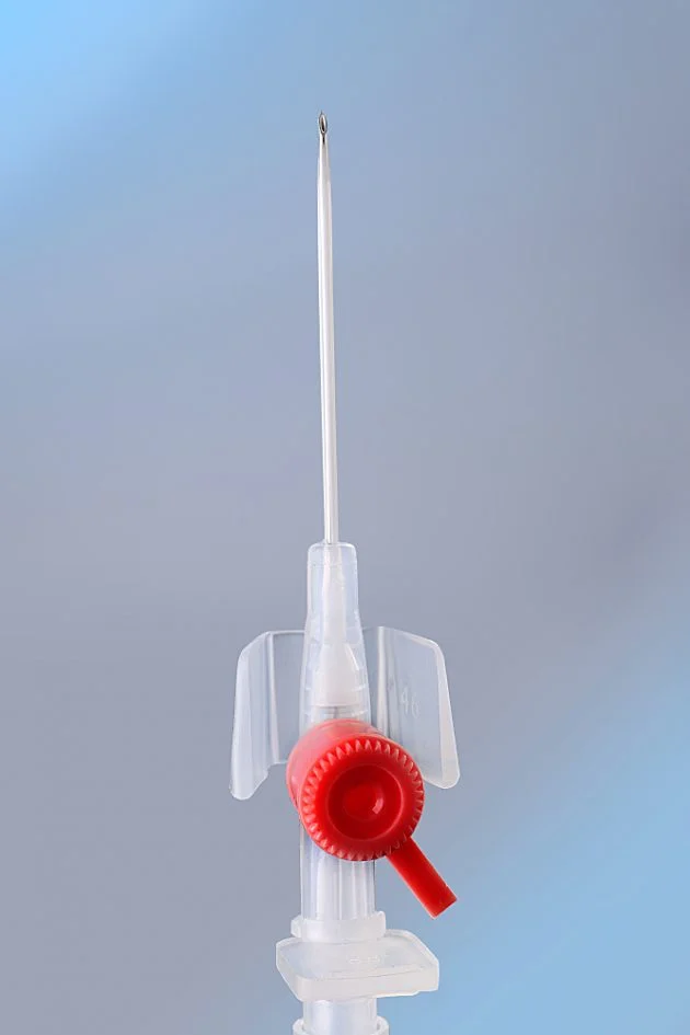 Iv Line 22g Farcocathe
